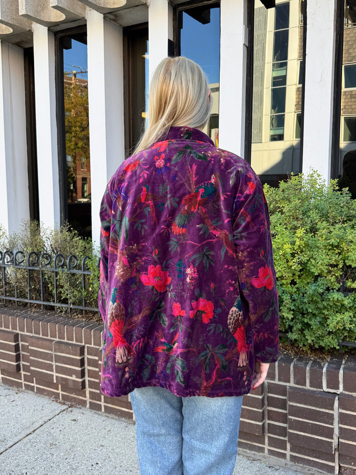 Free Size Velvet Purple & Birds Jacket