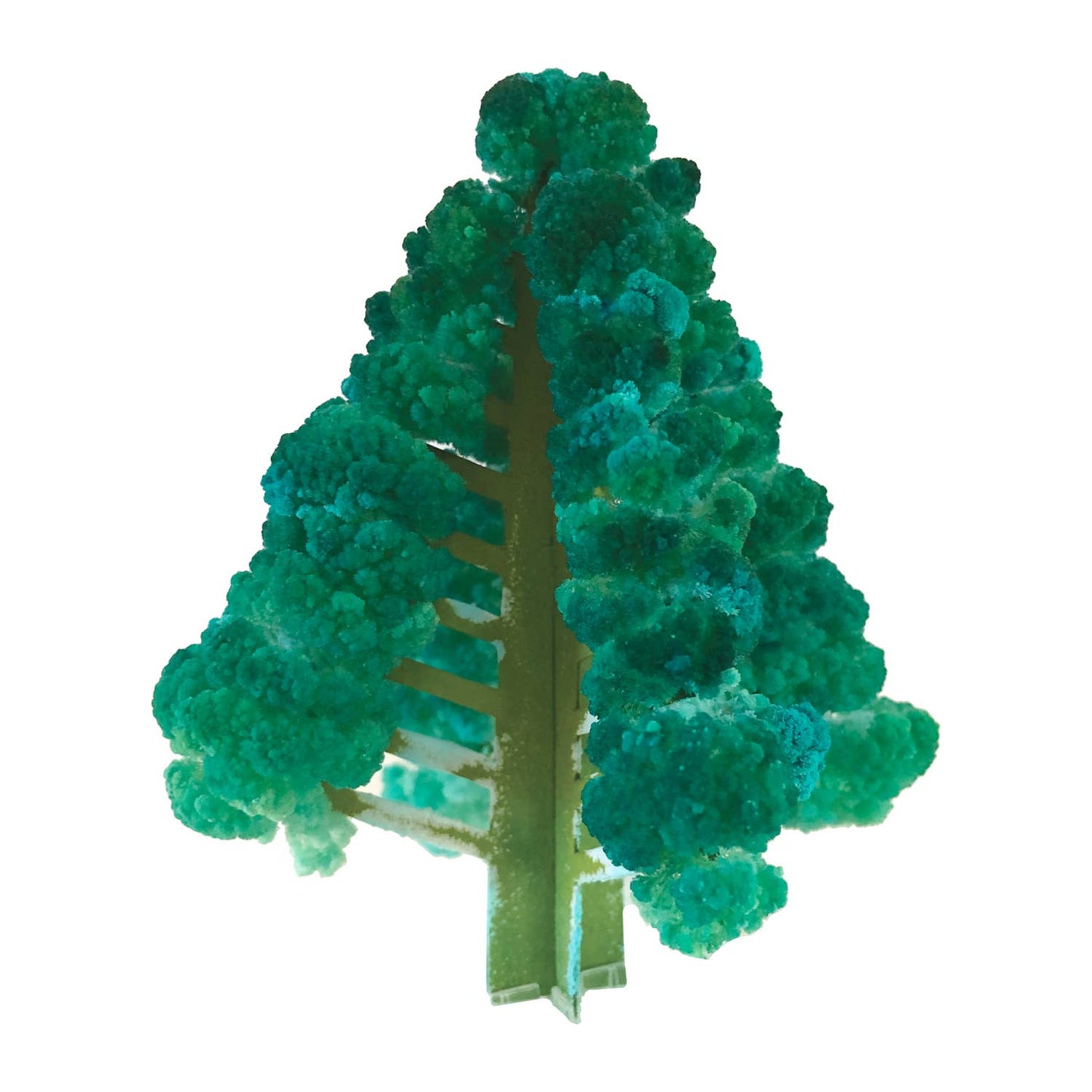 Crystal Growing Balsam Fir |
Christmas STEM craft kit