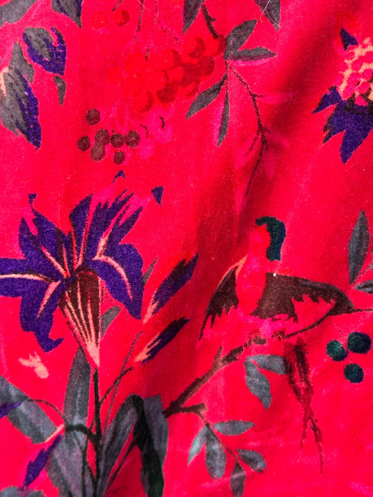 Velvet Free Size Colorful Bird Jacket