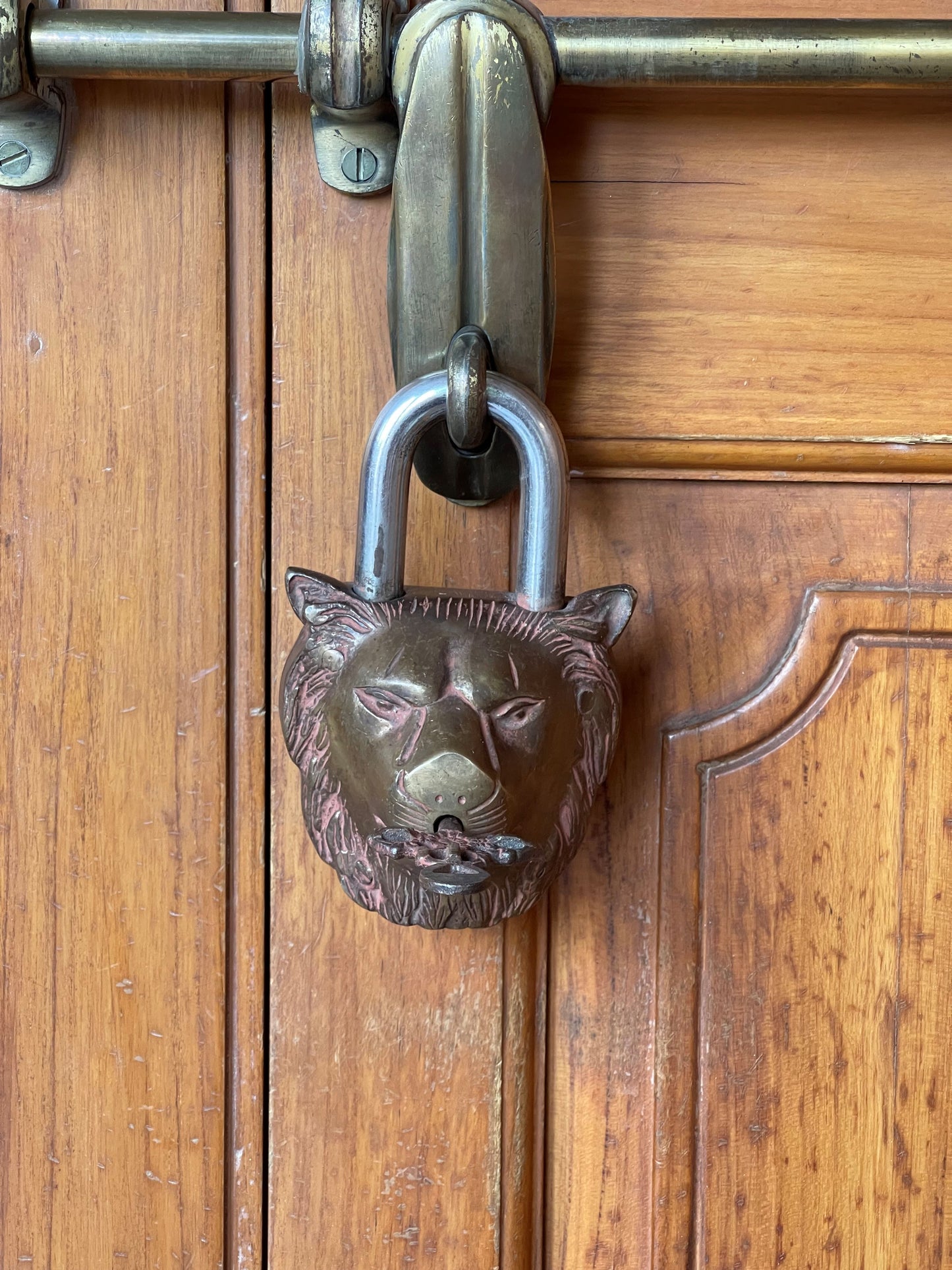 Lion Brass Padlock