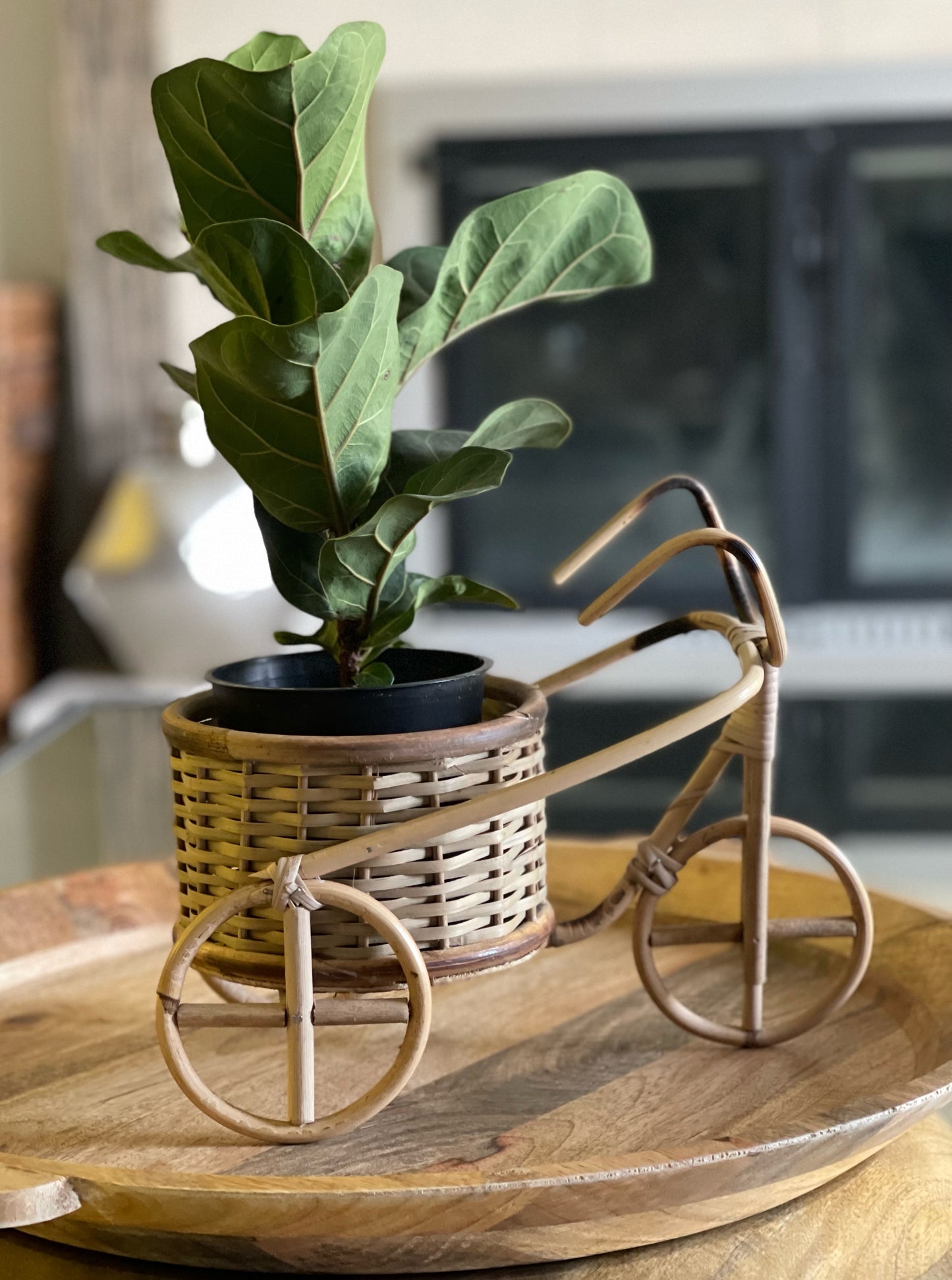 Bicycle Rattan Planter