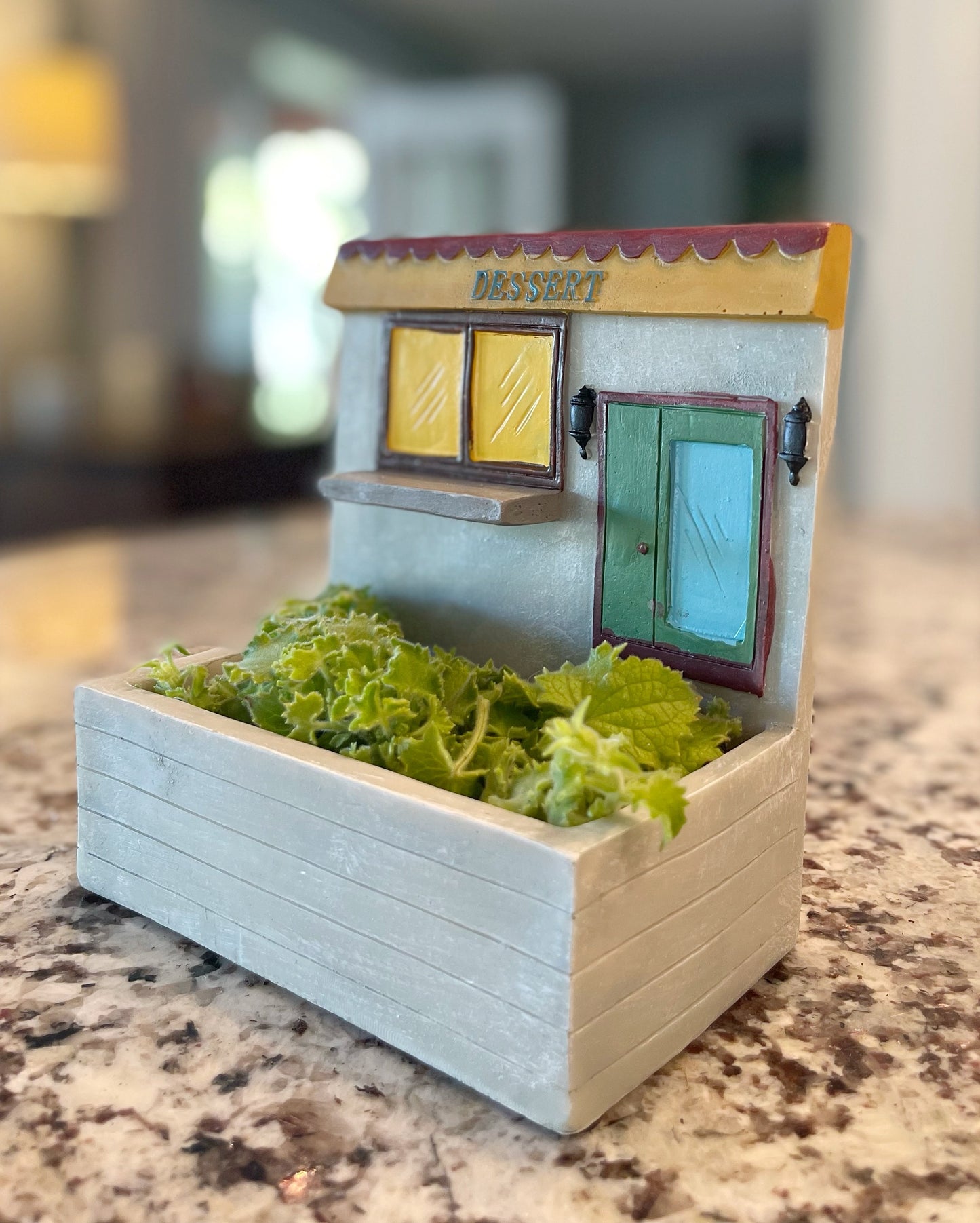 Dessert Shop Plant Wall Hanging