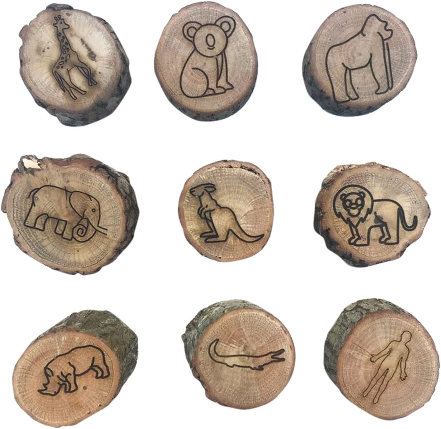 Animal Track Clay Stamps