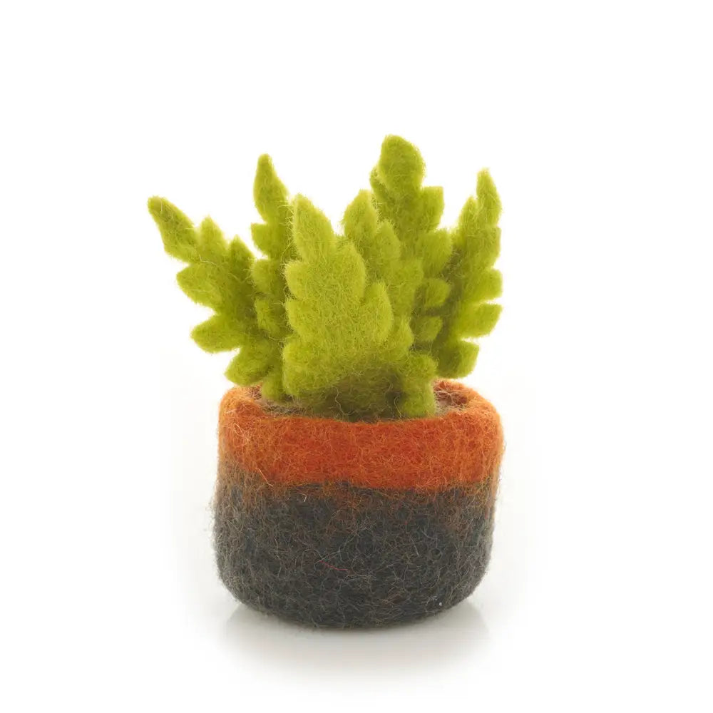 Ostrich Fern Felt Plant