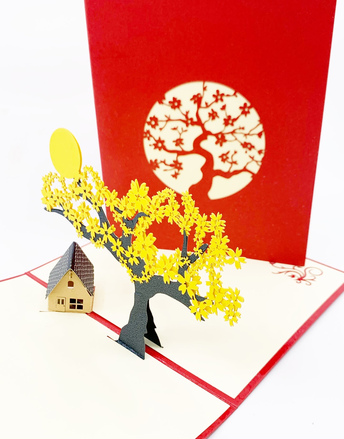 Colorful Pop-Up Cards