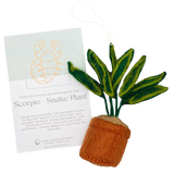Plant Ornament Astrology Signs with Card