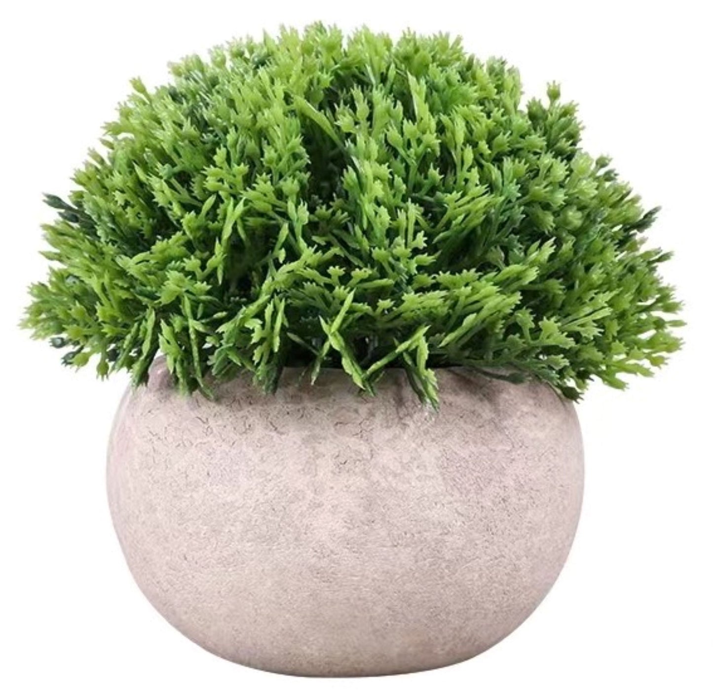 Clay Pot & Artificial Plant