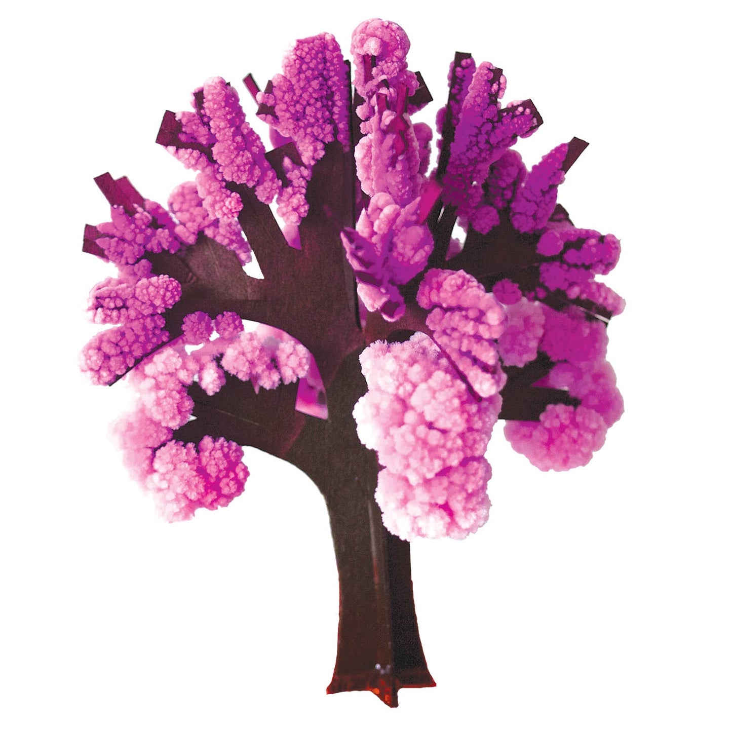 Crystal Growing Cherry Tree | 
Craft Kit Science Kit 
