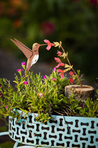 Steel Painted Steel Hummingbird & Flowers