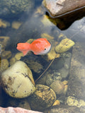 Koi Fish