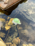 Green Porcelain Turtle
