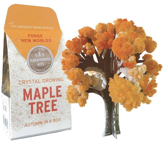 Crystal Growing Maple Tree | 
Craft Kit Science Kit
