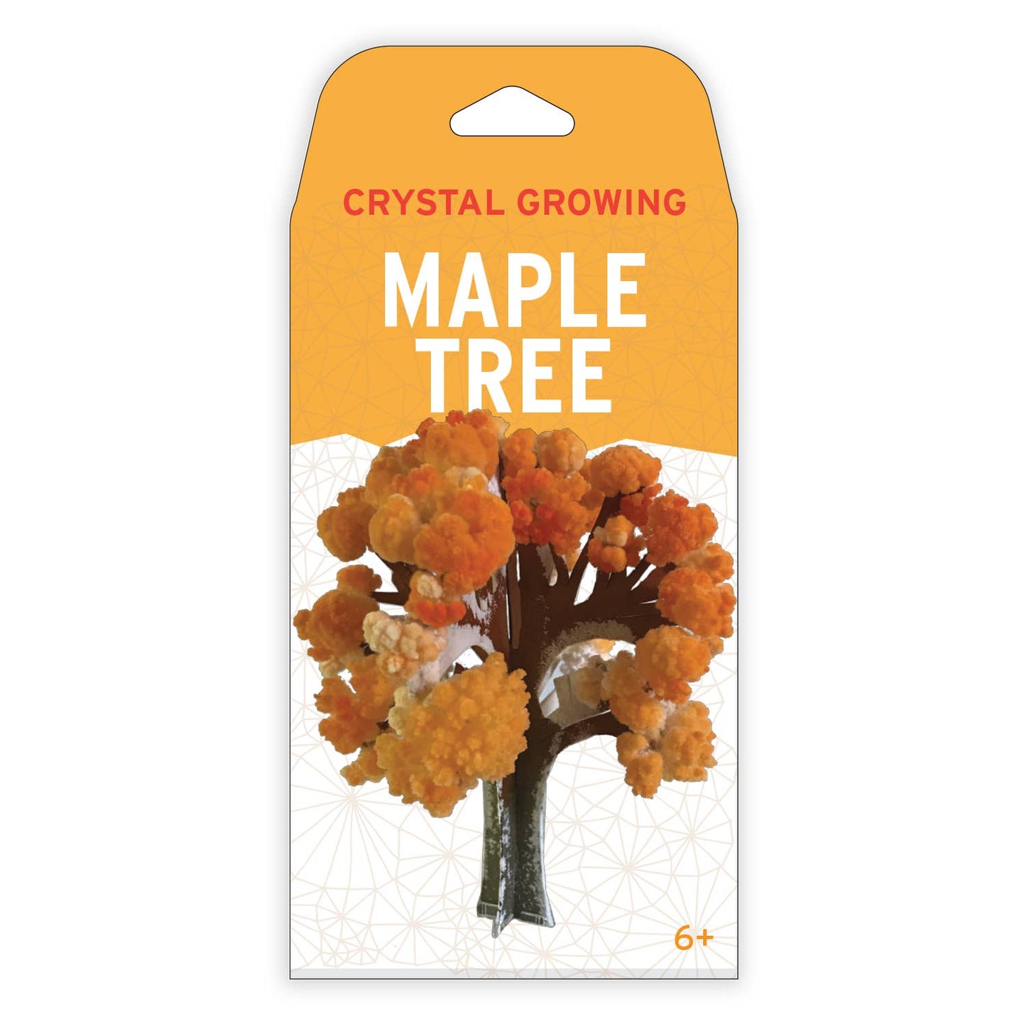 Crystal Growing Maple Tree | 
Craft Kit Science Kit