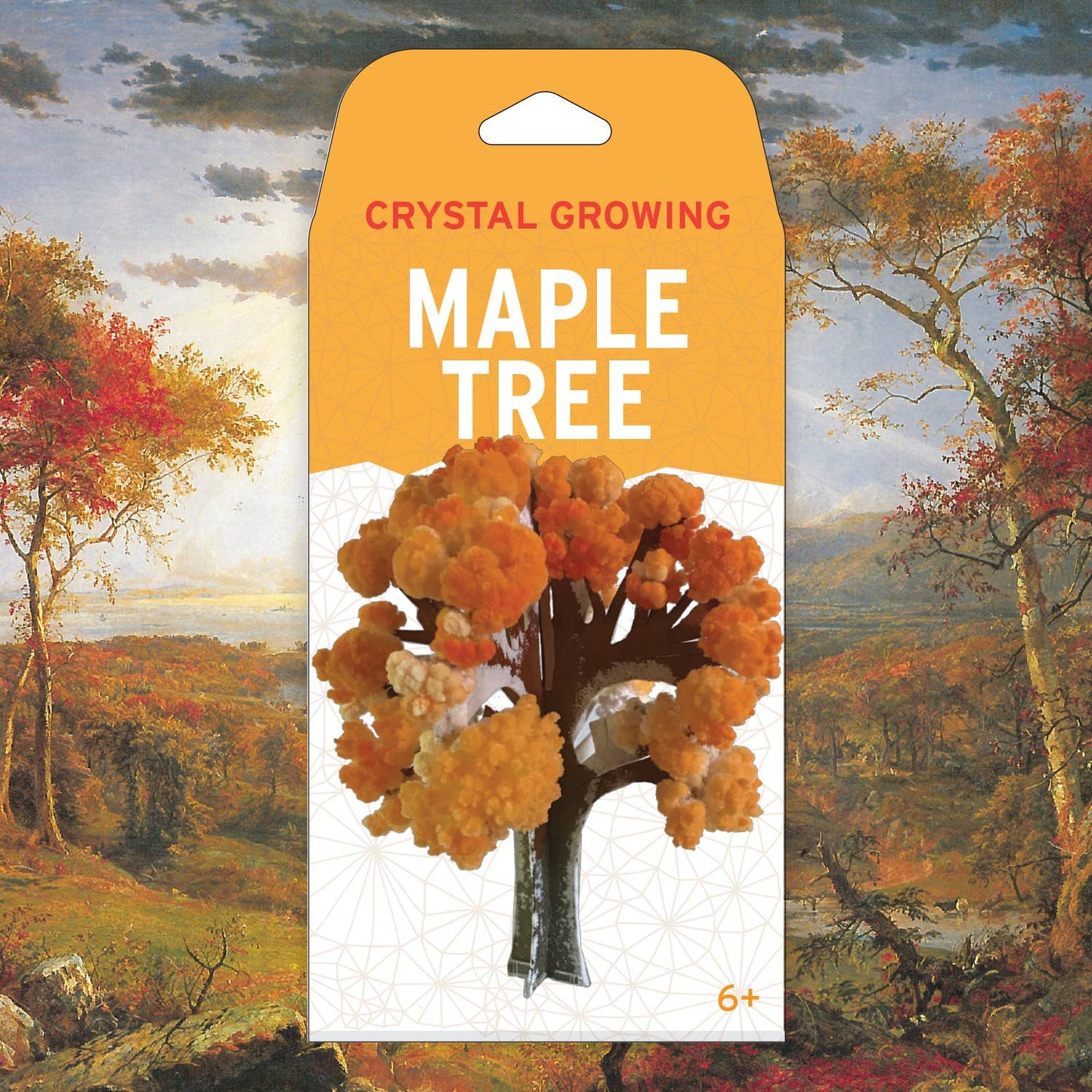 Crystal Growing Maple Tree | 
Craft Kit Science Kit