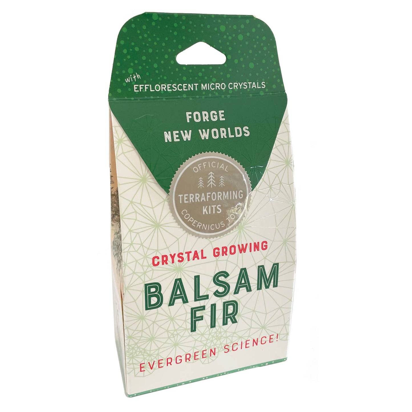 Crystal Growing Balsam Fir |
Christmas STEM craft kit