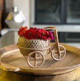 Three Wheeled Bicycle Planter