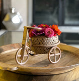 Three Wheeled Bicycle Planter