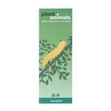 Plant Animal Caterpillar Plant Accessory