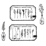 Herbarium Specimen Stamp Set