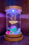 Lighted Desk Top Fish Aquarium