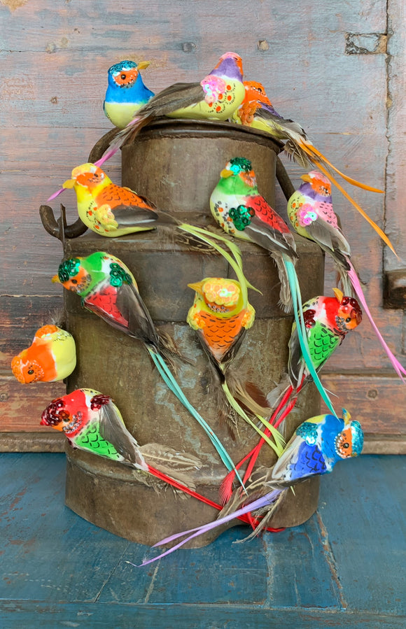 Colorful Bird Magnets-Dozen