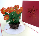 Colorful Pop-Up Cards