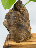 Tranquil Wood Sculpture