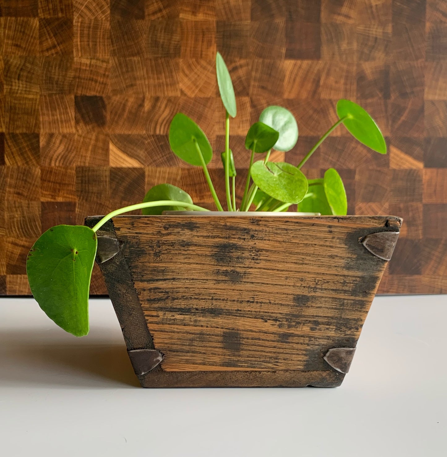 Wooden Rice Box