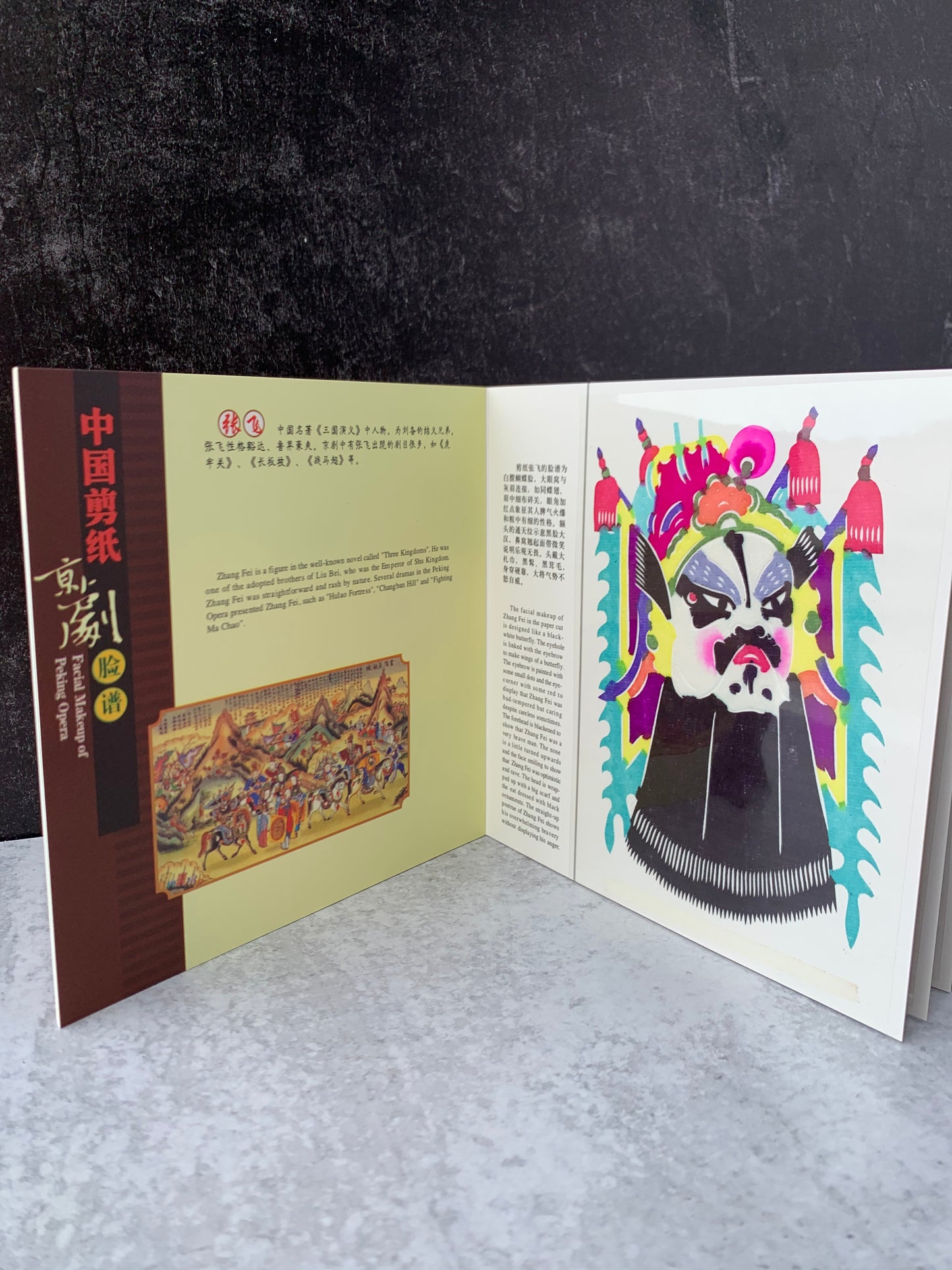 Paper Cut Book