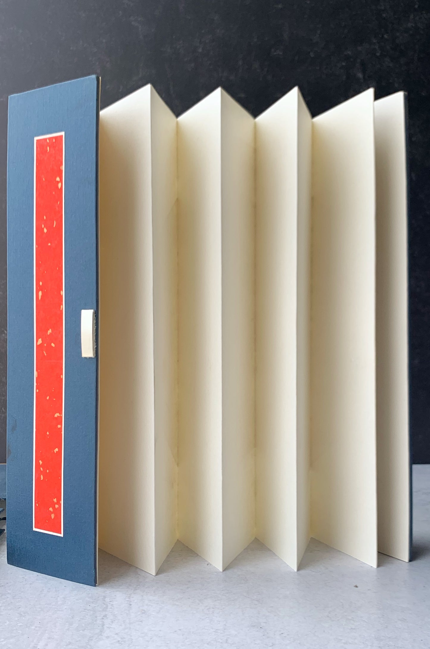 Tall Fan Painting Book