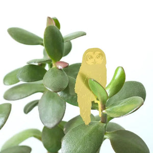 Owl Plant Accessory