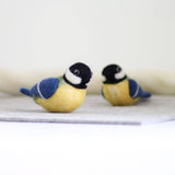 Great Bird Needle Felting Kit