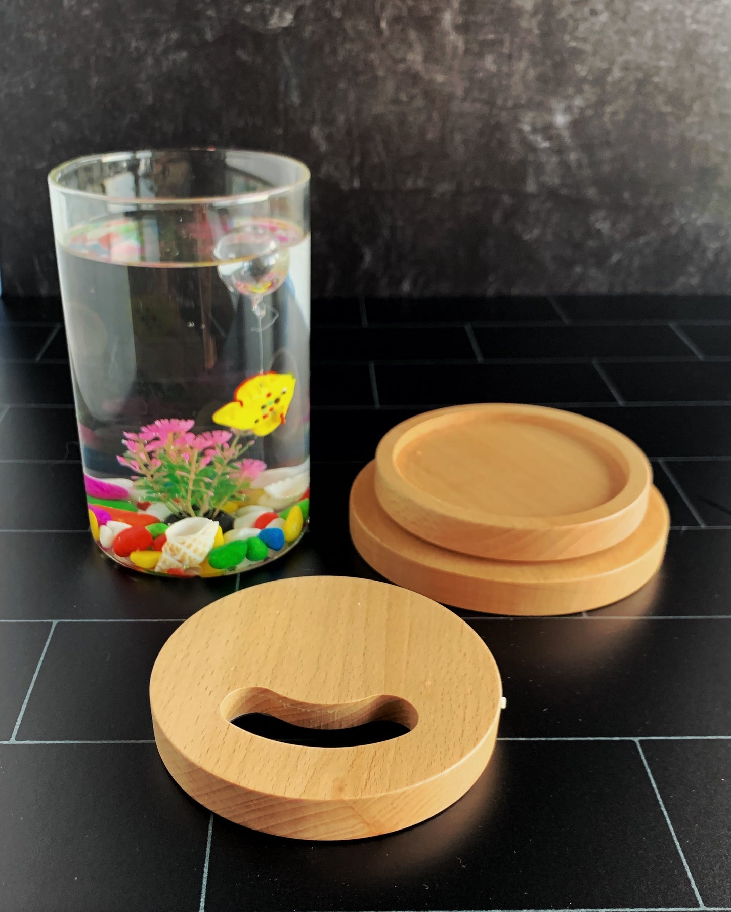 Lighted Desk Top Fish Aquarium