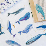Whale Shaped Bookmarks 30 pieces Per Box