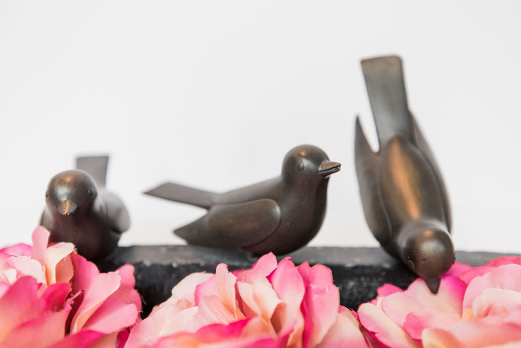 Three Birds Resting
